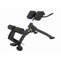 Гиперэкстензия под углом 45 градусов Spirit SP-4220