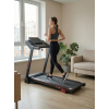 Беговая дорожка CardioPower T20   NEW