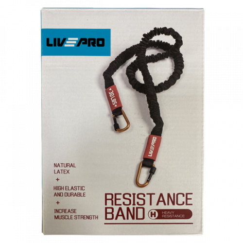 Эспандер с карабином LivePro LP8401 H